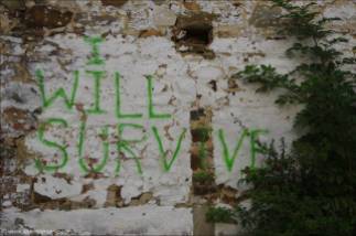 ©I will survive!