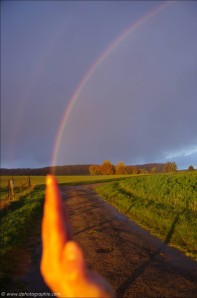 ©Ein Regenbogen nur für mich!_49